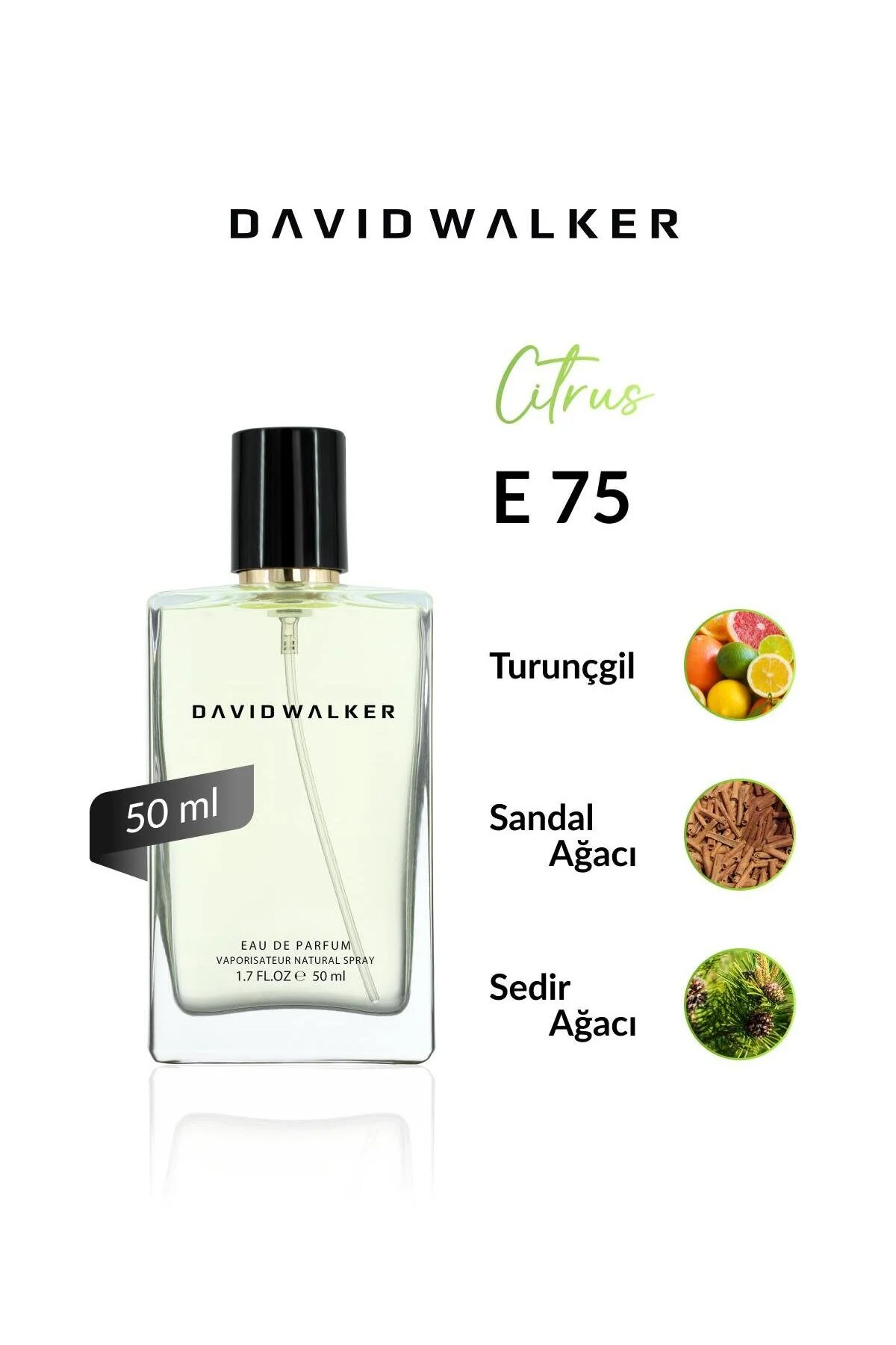 David Walker E75 Dustin 50 ml Erkek Parfüm | Citrus
